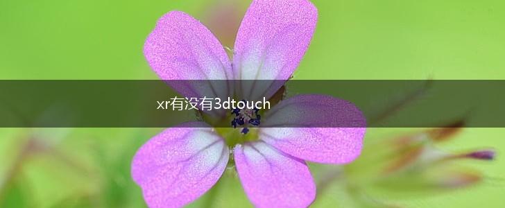 xr有没有3dtouch,第1张
