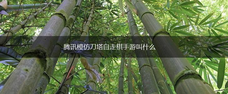 腾讯模仿刀塔自走棋手游叫什么,第1张