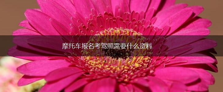 摩托车报名考驾照需要什么资料,第1张