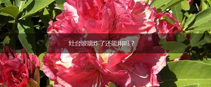 灶台玻璃炸了还能用吗？,第1张