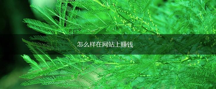 怎么样在网站上赚钱,第1张