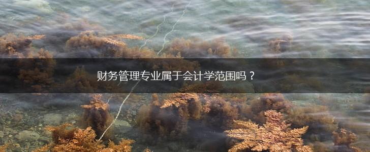 财务管理专业属于会计学范围吗？,第1张