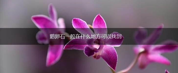 鹅卵石一般在什么地方可以找到,第1张