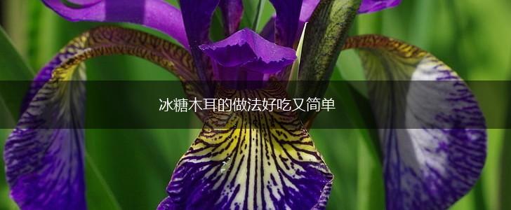 冰糖木耳的做法好吃又简单,第1张