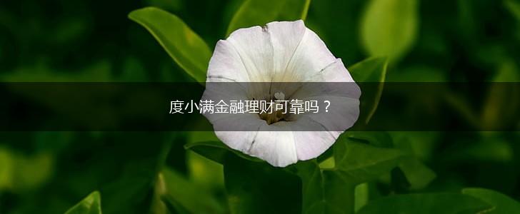 度小满金融理财可靠吗？,第1张