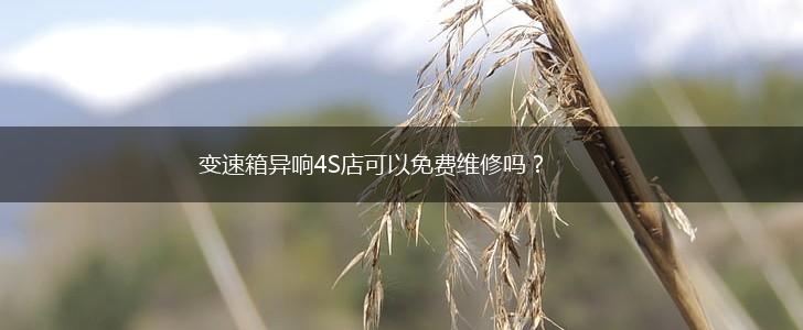 变速箱异响4S店可以免费维修吗？,第1张