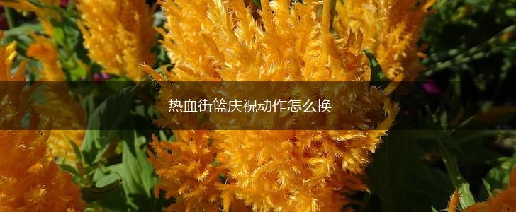 热血街篮庆祝动作怎么换,第1张