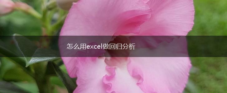 怎么用excel做回归分析,第1张