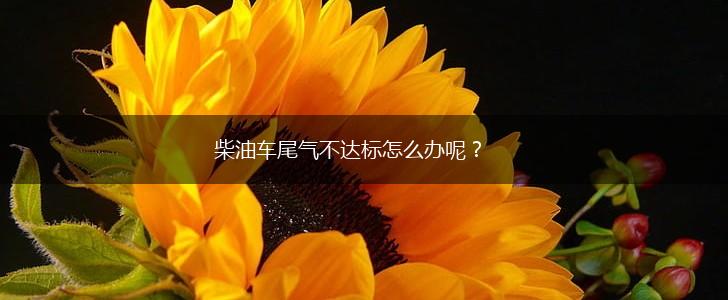 柴油车尾气不达标怎么办呢？,第1张