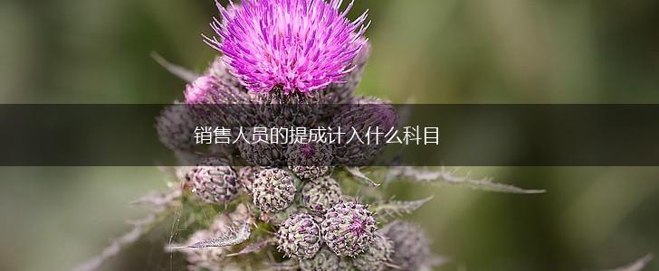 销售人员的提成计入什么科目,第1张