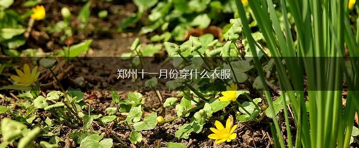 郑州十一月份穿什么衣服,第1张