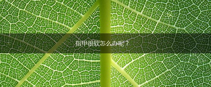 指甲很软怎么办呢？,第1张
