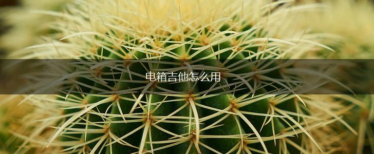 电箱吉他怎么用,第1张