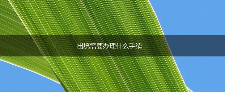 出境需要办理什么手续,第1张