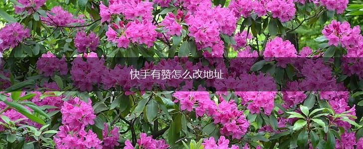 快手有赞怎么改地址,第1张