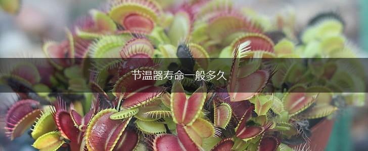 节温器寿命一般多久,第1张