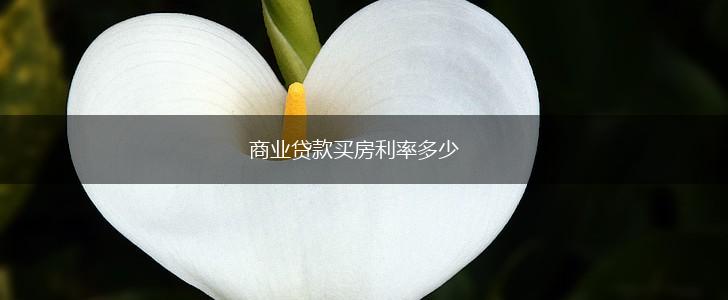 商业贷款买房利率多少,第1张