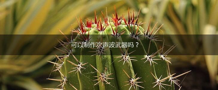 可以制作次声波武器吗？,第1张