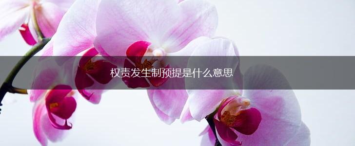 权责发生制预提是什么意思,第1张