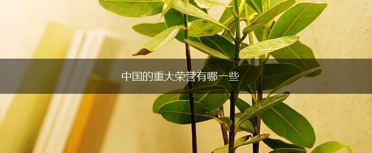 中国的重大荣誉有哪一些,第1张