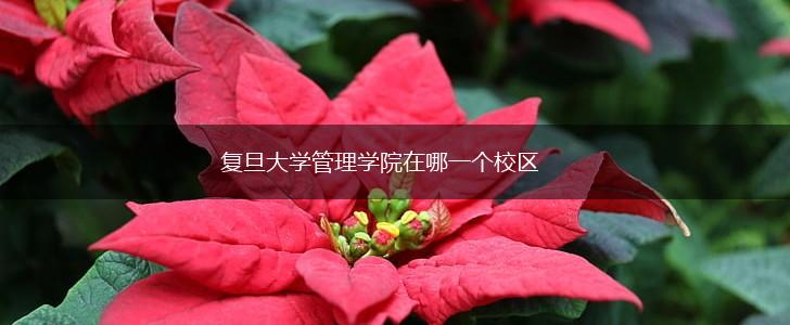 复旦大学管理学院在哪一个校区,第1张