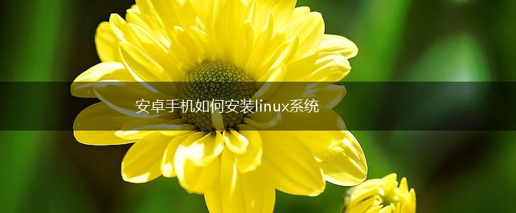 安卓手机如何安装linux系统,第1张