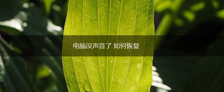 电脑没声音了 如何恢复,第1张