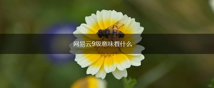 网易云9级意味着什么,第1张