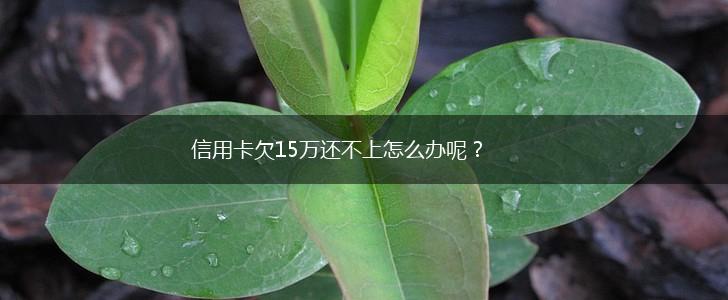 信用卡欠15万还不上怎么办呢？,第1张
