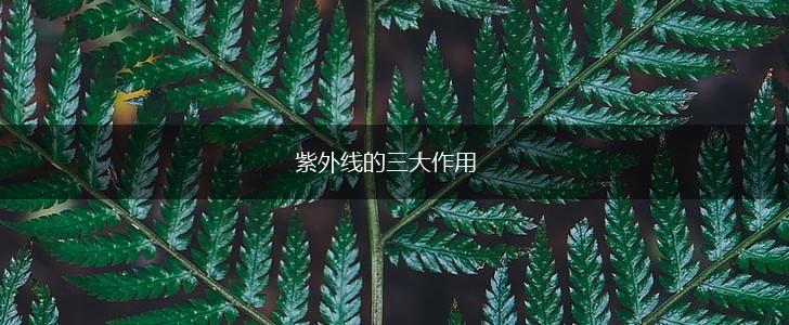紫外线的三大作用,第1张