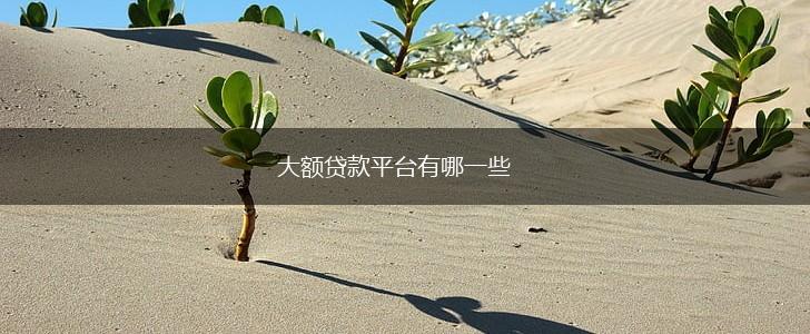 大额贷款平台有哪一些,第1张