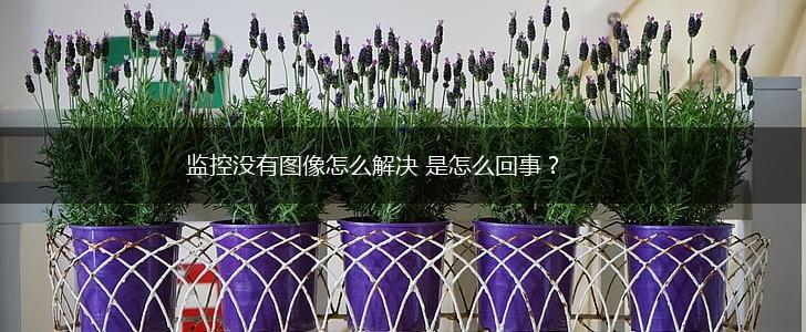 监控没有图像怎么解决 是怎么回事？,第1张