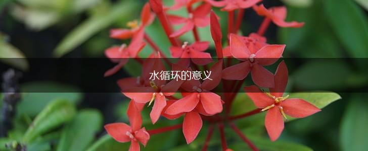 水循环的意义,第1张