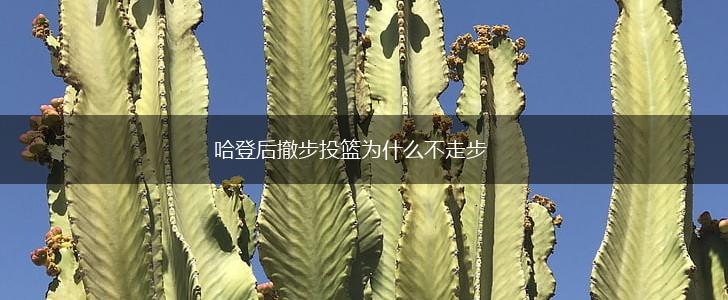 哈登后撤步投篮为什么不走步,第1张