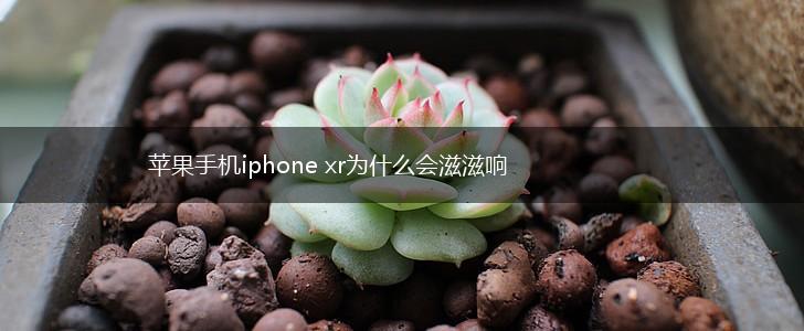 苹果手机iphone xr为什么会滋滋响,第1张