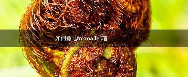 如何登陆foxmail邮箱,第1张
