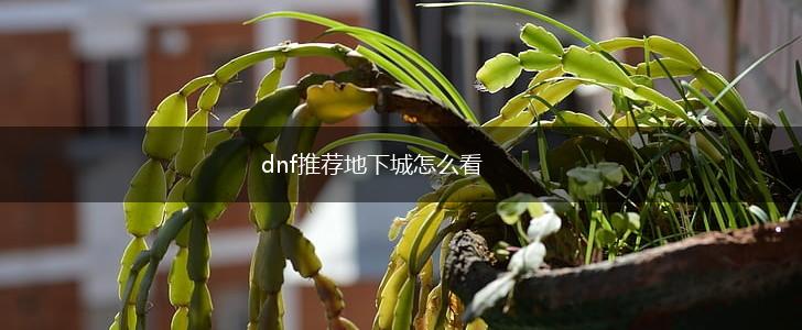 dnf推荐地下城怎么看,第1张