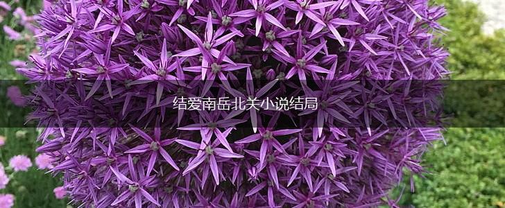 结爱南岳北关小说结局,第1张