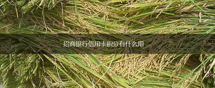 招商银行信用卡积分有什么用,第1张