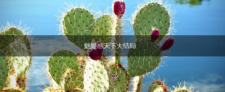 魅姬惑天下大结局,第1张