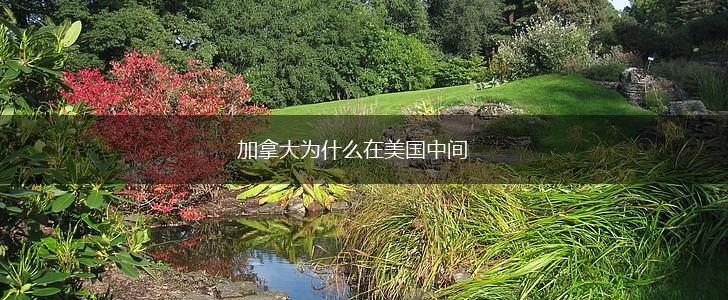 加拿大为什么在美国中间,第1张
