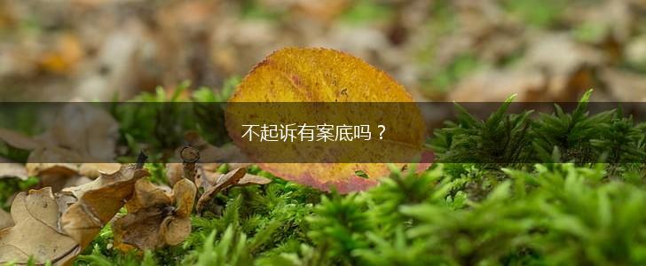 不起诉有案底吗？,第1张