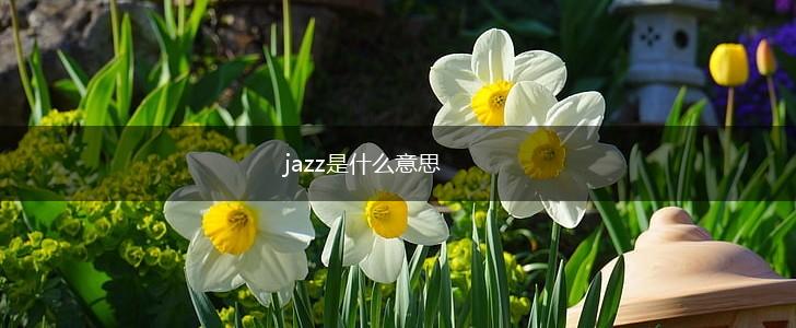 jazz是什么意思,第1张 jazz是什么意思,第1张