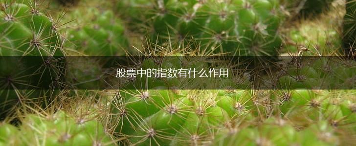 股票中的指数有什么作用,第1张