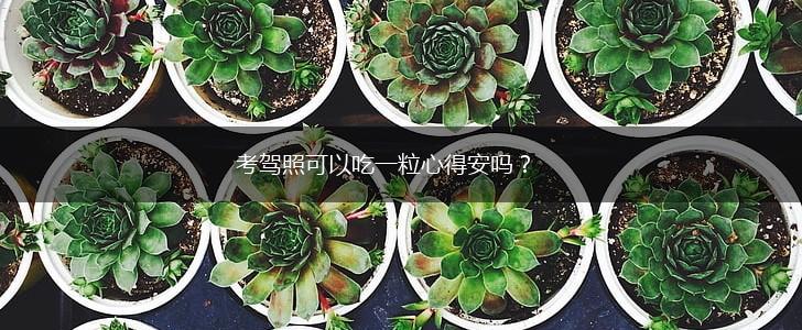 考驾照可以吃一粒心得安吗？,第1张