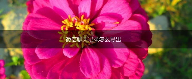 微信聊天记录怎么导出,第1张