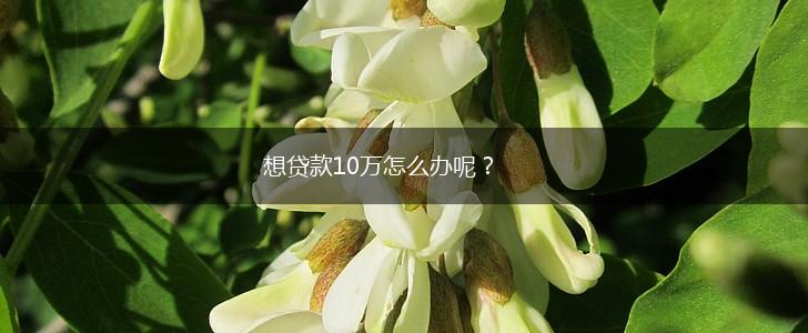 想贷款10万怎么办呢？,第1张