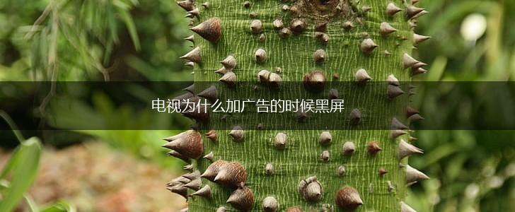 电视为什么加广告的时候黑屏,第1张