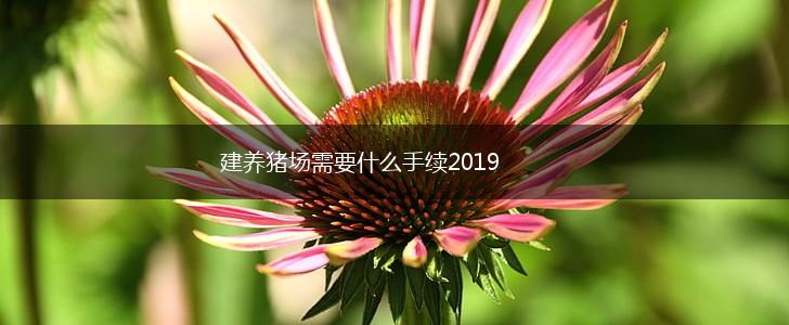 建养猪场需要什么手续2019,第1张