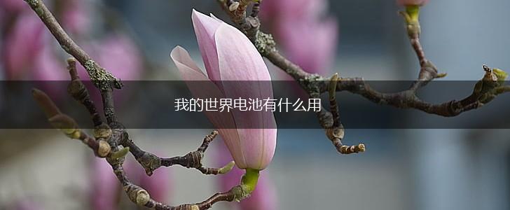 我的世界电池有什么用,第1张